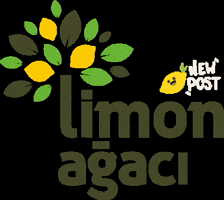 Limon Ağacı Ajans GIF