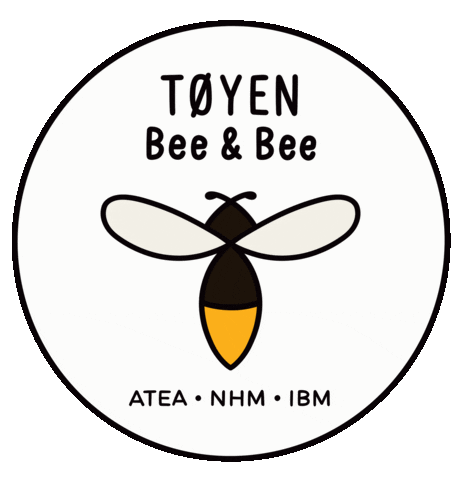 Bee Ibm Sticker by Atea.no