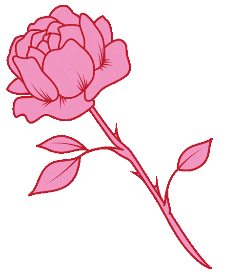 Text Rose Sticker