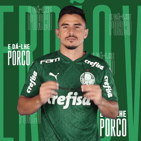 Pig Mustache GIF by SE Palmeiras