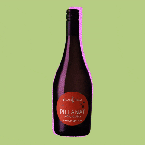 GIF by Grand Tokaj
