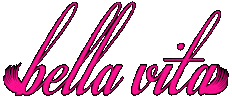 Beauty Lash Sticker by Bella Vita Lashes