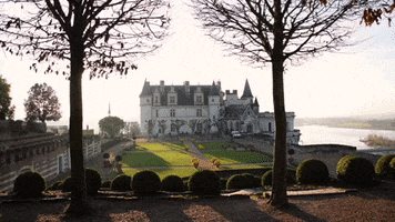 Ecotourisme GIF