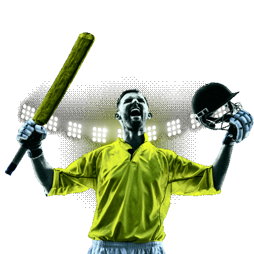 Champion Cricket Sticker by Parimatch Sports