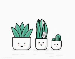 Party Plants GIF by feey.pflanzen