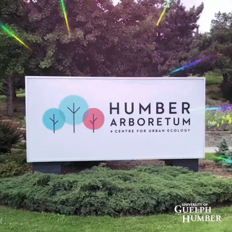 Guelph-Humber  GIF