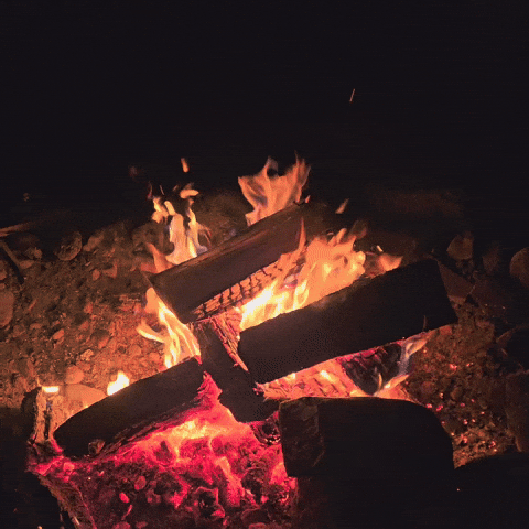 XperienceHuman GIF