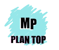 Plan Top Sticker by Madrid Planes