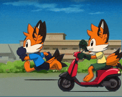 Happy Fun GIF by Foxy