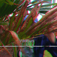 palm tree smile GIF by YADNUS