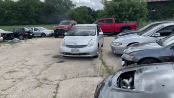 Animated GIF