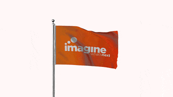 Internet Flag GIF by imaginebn