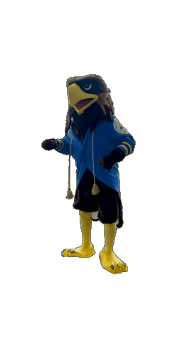 Cheering Valor Sticker by AmericanPublicUniversity