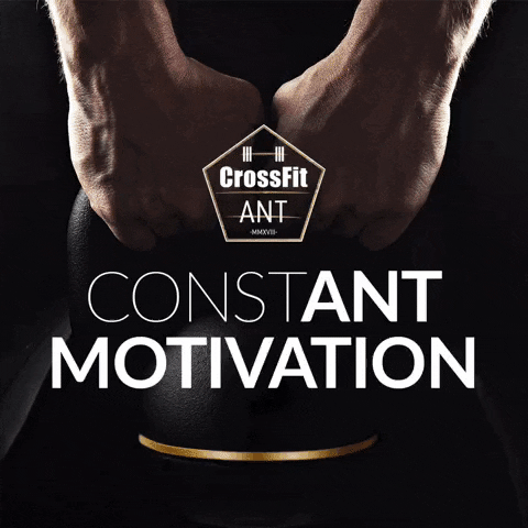CrossFit ANT GIF
