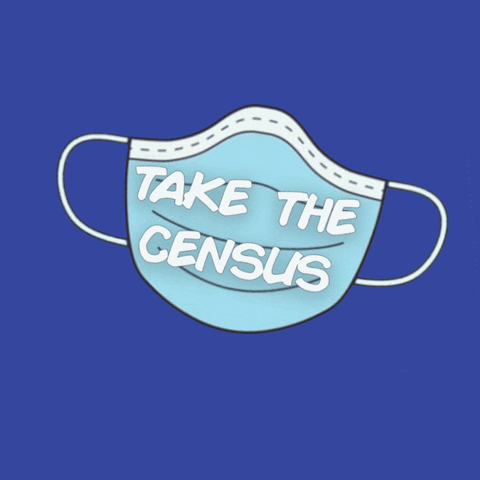 Mask Census GIF by Mecklenburg County - Find & Share on GIPHY
