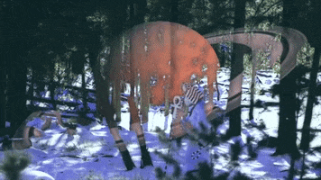 Saturday GIF