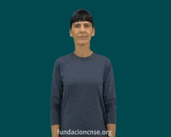 Fundación CNSE GIF