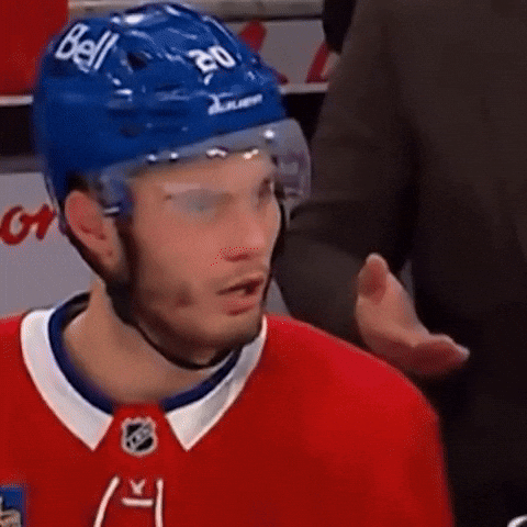 Ch Go Habs Go GIF