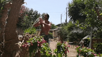Lobo Estepario GIF