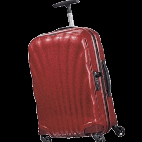 sydneyluggage GIF
