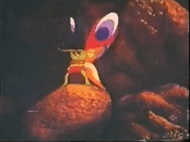 Sudsakorn 1979 GIF