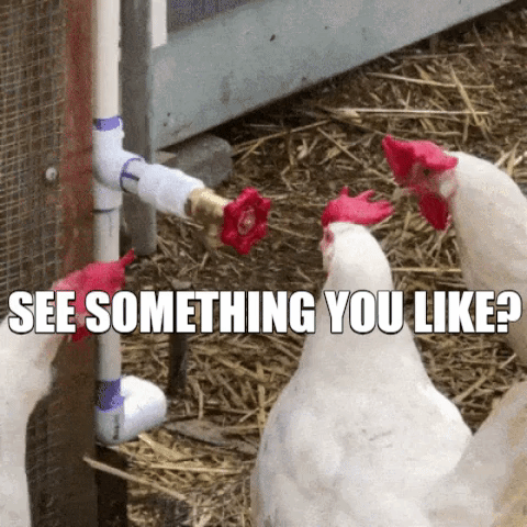 Connectingyouinstantly Seesomethingyoulike GIF by JobsJet