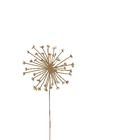 Art Sticker