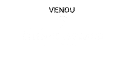 Etiennelessard GIF by Étienne Lessard courtiers immobiliers