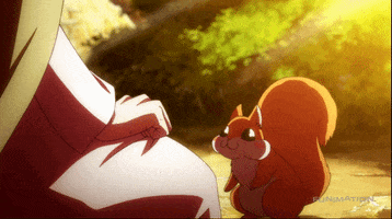 squirrel hug GIF by Funimation