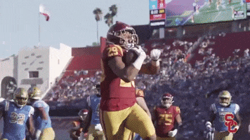 Football Touchdown GIF by USC Trojans