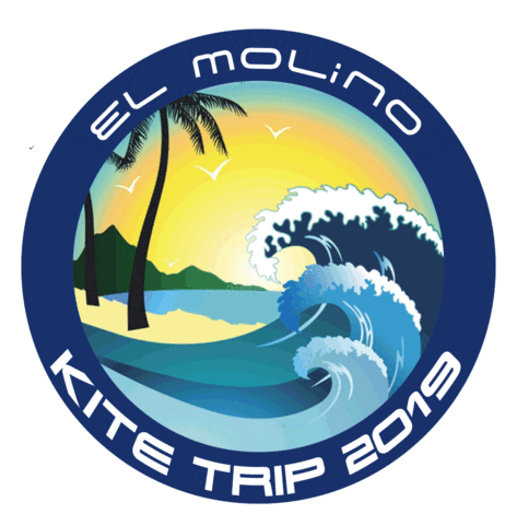 Trip Surf Sticker by emelec-sa