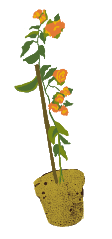Tree Sticker