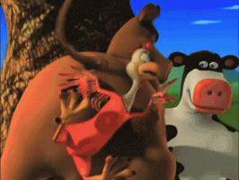 שמעון ווזה GIF