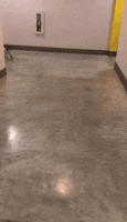 200.gif