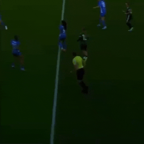 Referee GIF