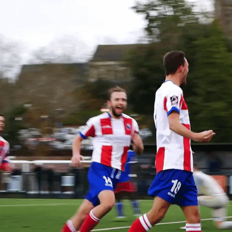 Celebrate Lets Go GIF by Dorking Wanderers Football Club