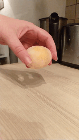 Bouncy Egg GIF