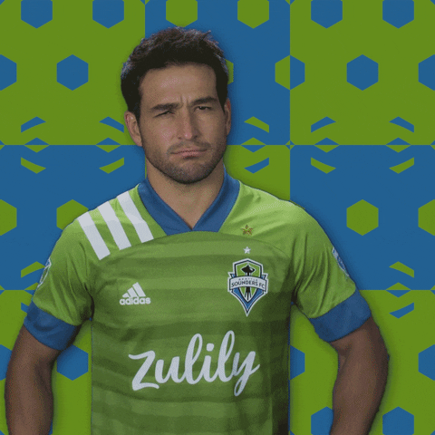 Calm Down Seattle Sounders GIF by Major League Soccer