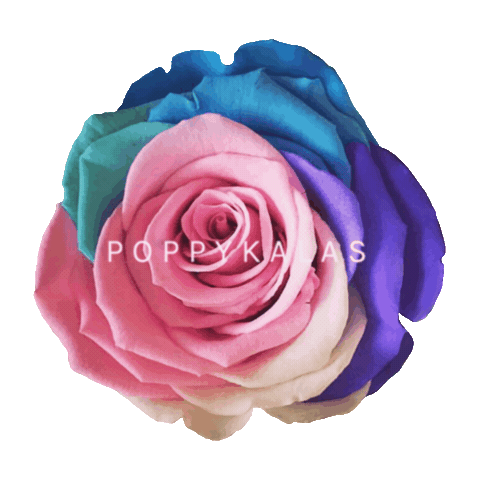 Poppykalas Sticker