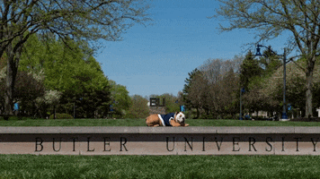 Butler Blue 6 Feet GIF by Butler University