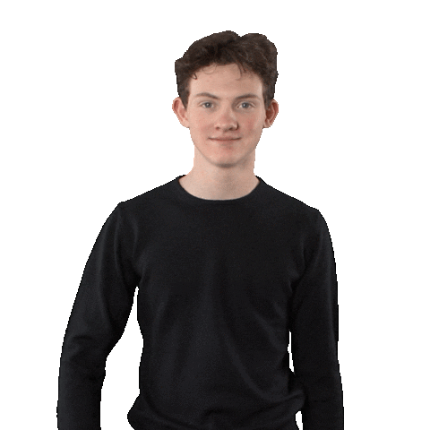 Disney Themepark Sticker