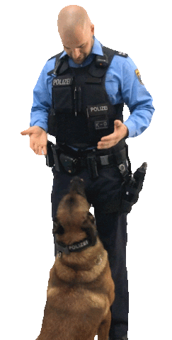 Dog Hund Sticker by Polizei Hessen Karriere