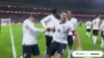 england celebrate GIF by Star Sixes