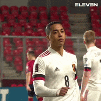 Belgium Laughing GIF by ElevenSportsBE