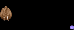 GIF by GTTWHSPR