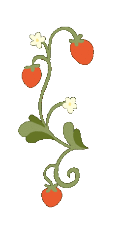 Summer Spring Sticker