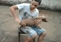 [Obrazek: 200w.webp]