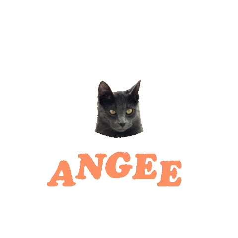 Cat Sticker