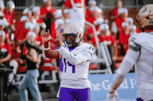 Football Celebrating GIF by JMUDukes