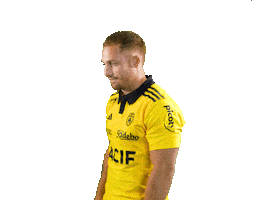 Rugby Sticker by Stade Rochelais